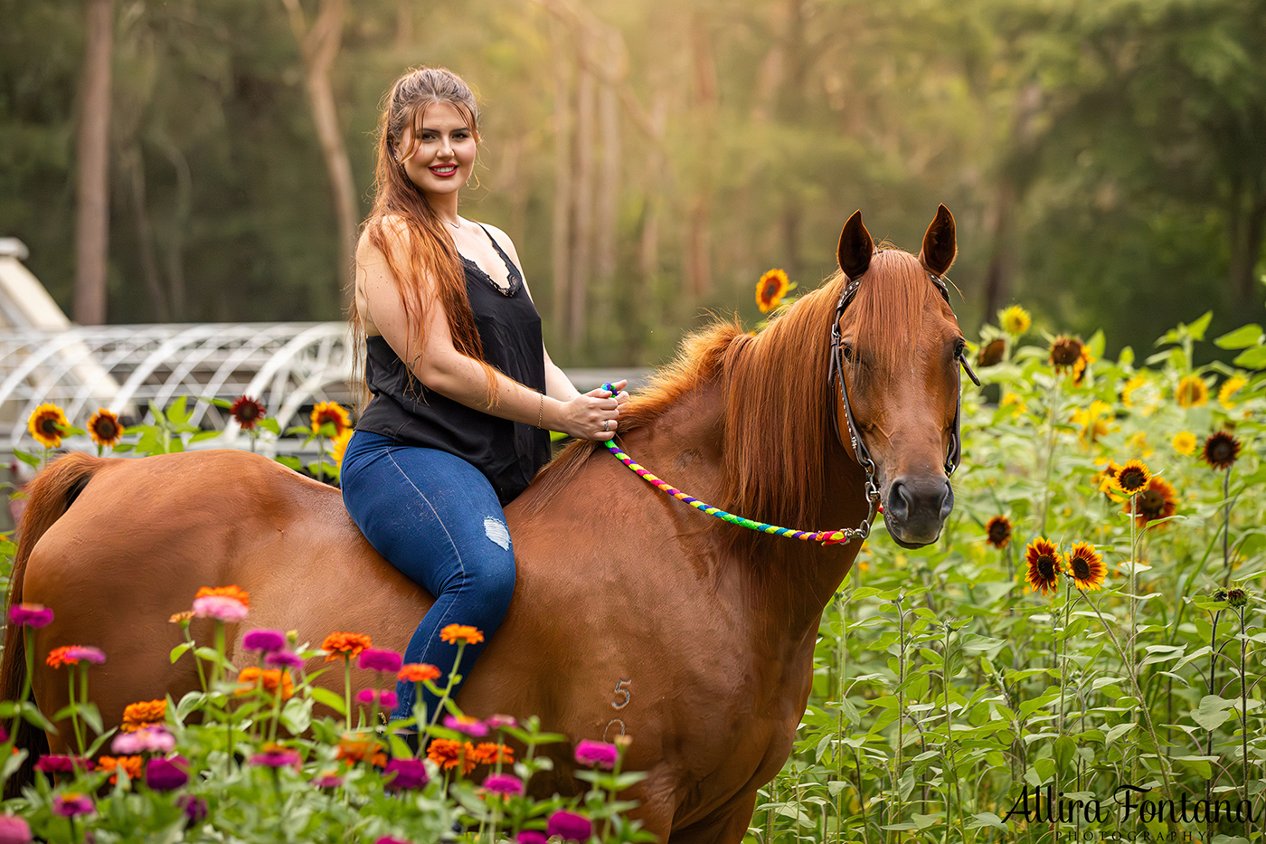 The Alsop family's sunflower photo session