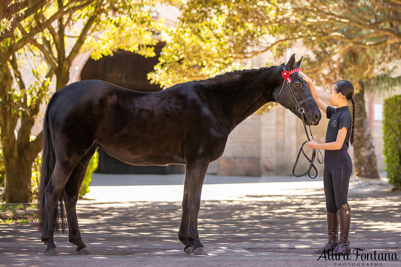 Pippa, Minnie and Georgie's photo session at Centennial Parklands Equestrian Centre