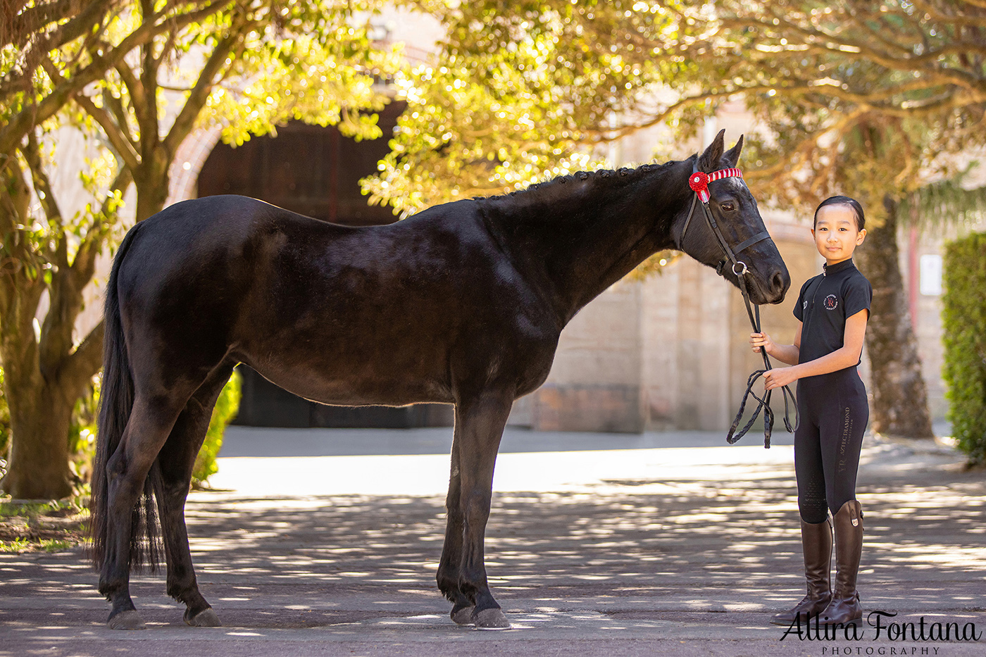 Pippa, Minnie and Georgie's photo session at Centennial Parklands Equestrian Centre
