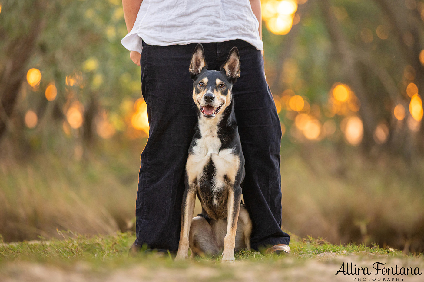 Janina, Ruby and Alfie's photo session at Macquarie Park