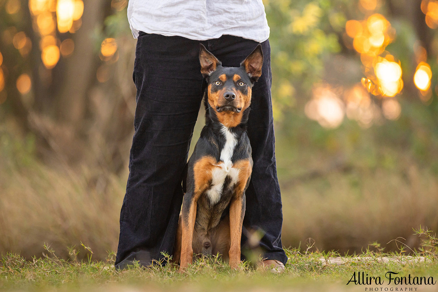 Janina, Ruby and Alfie's photo session at Macquarie Park