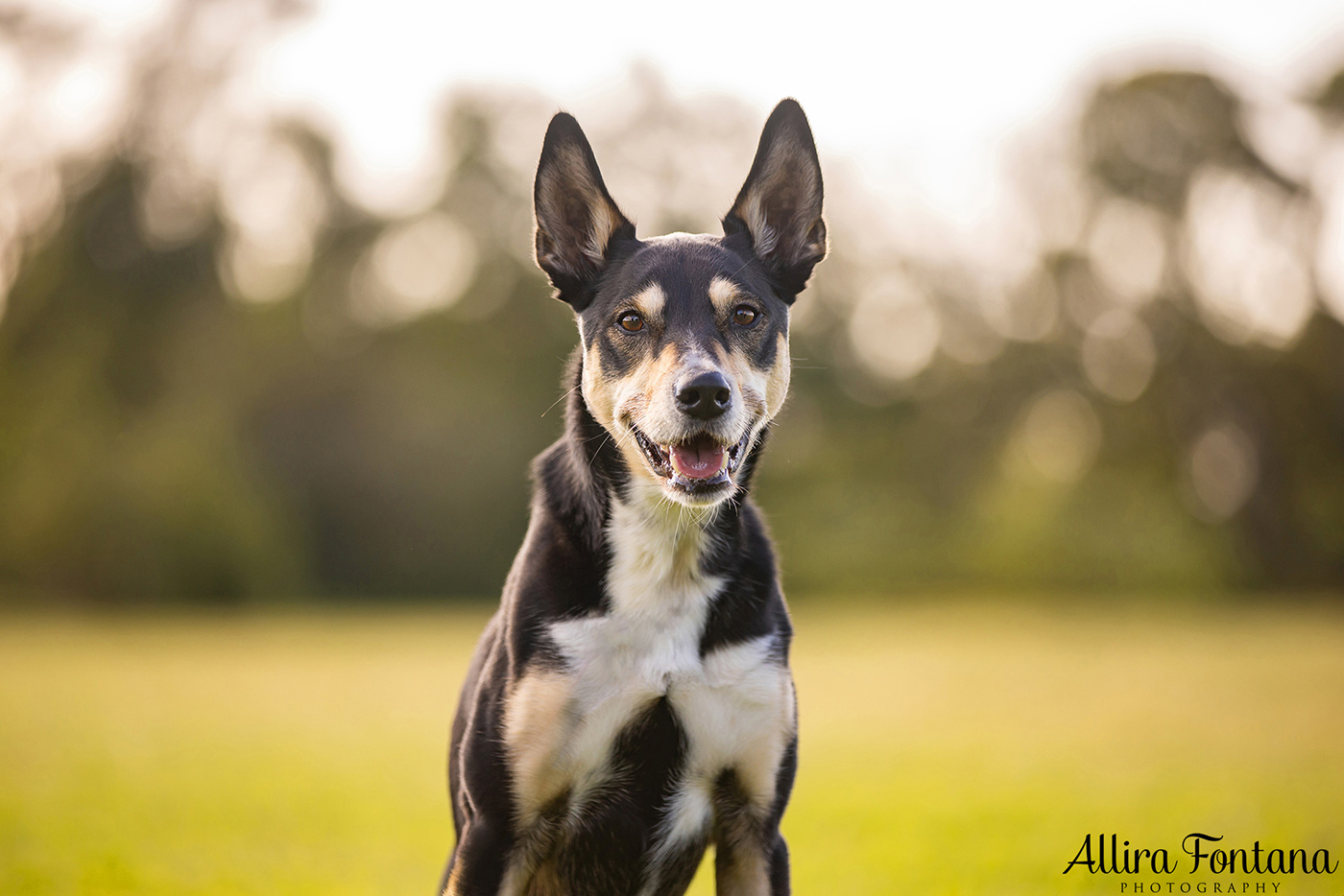 Janina, Ruby and Alfie's photo session at Macquarie Park