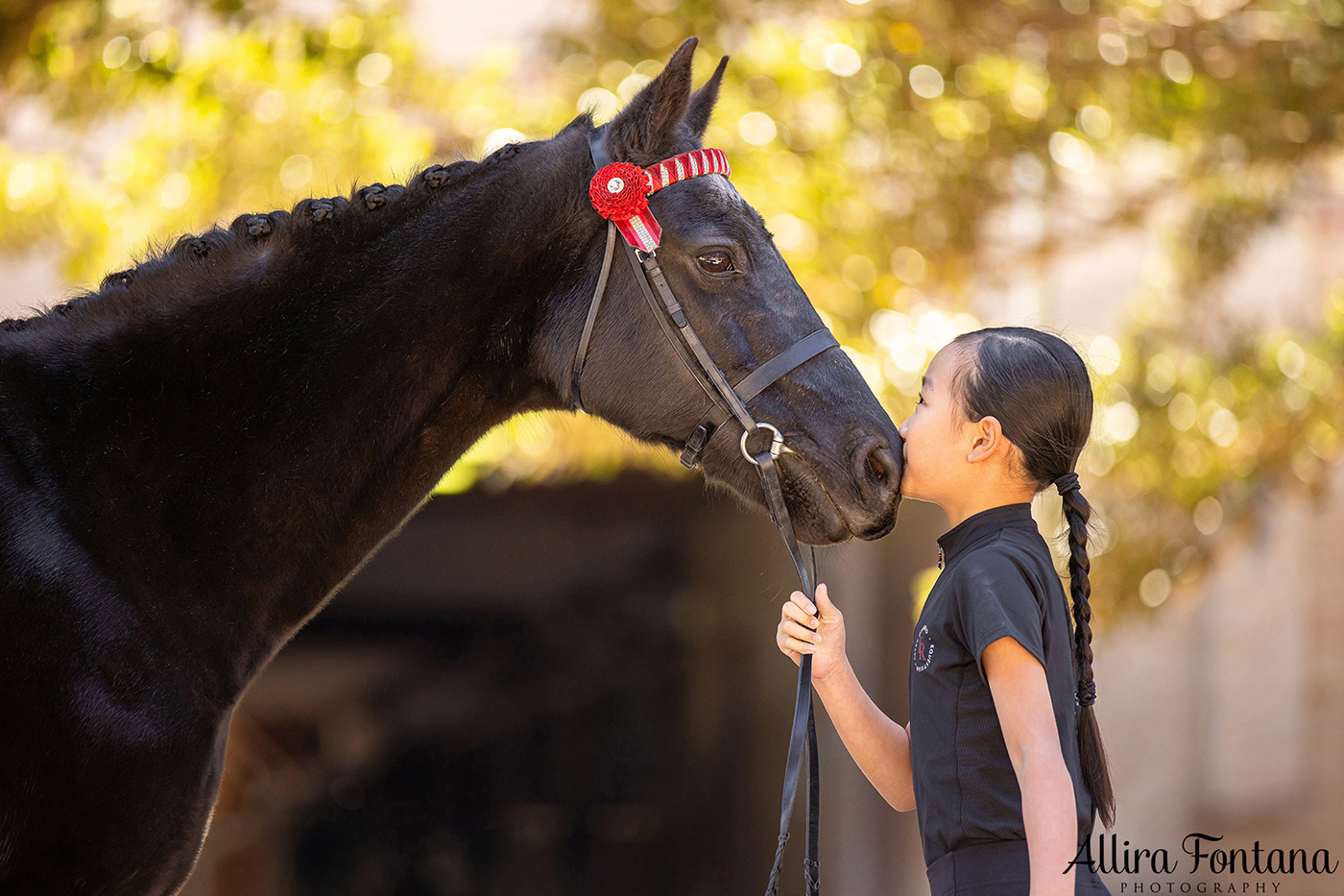 Pippa, Minnie and Georgie's photo session at Centennial Parklands Equestrian Centre