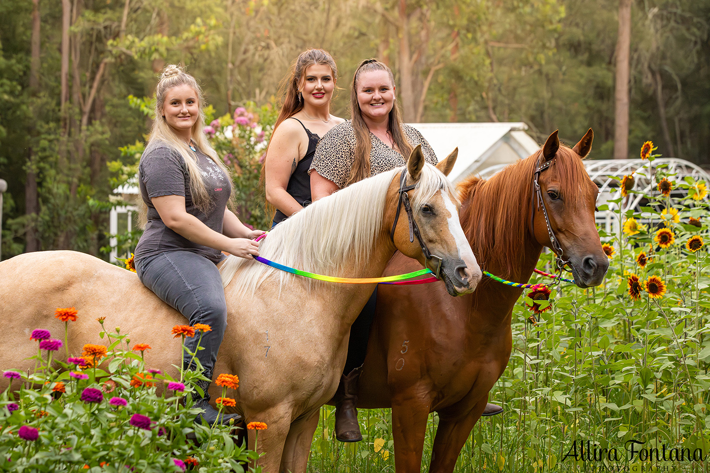 The Alsop family's sunflower photo session