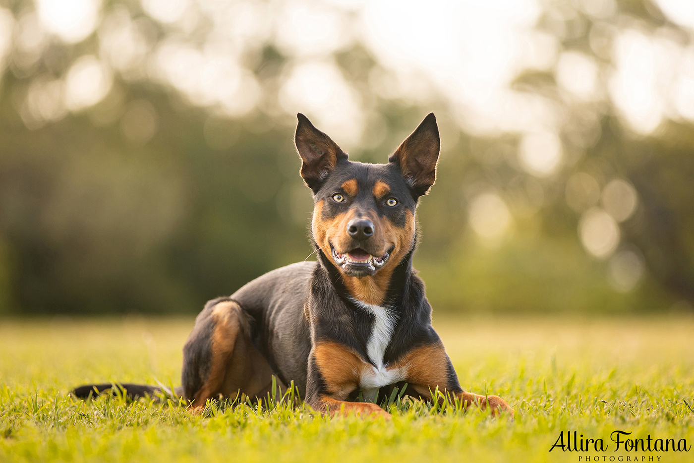 Janina, Ruby and Alfie's photo session at Macquarie Park