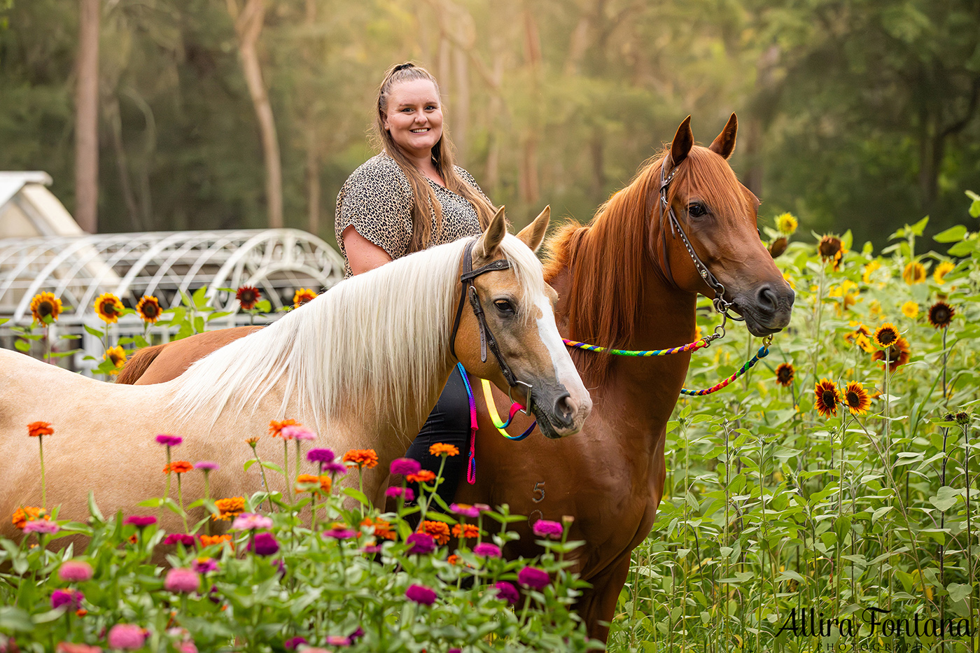 The Alsop family's sunflower photo session