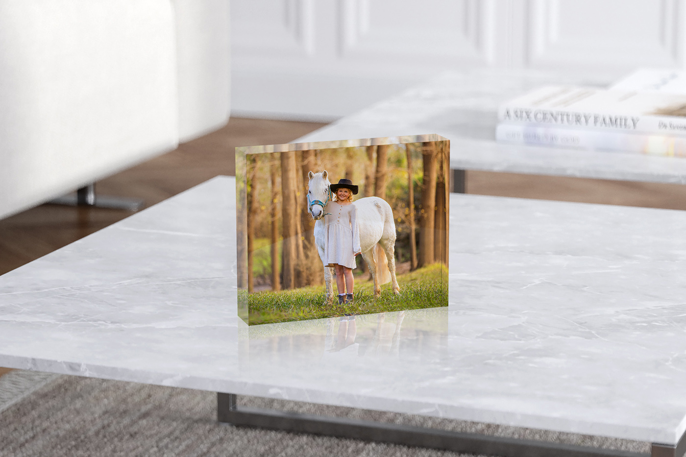 The Holmes's family photo session at home