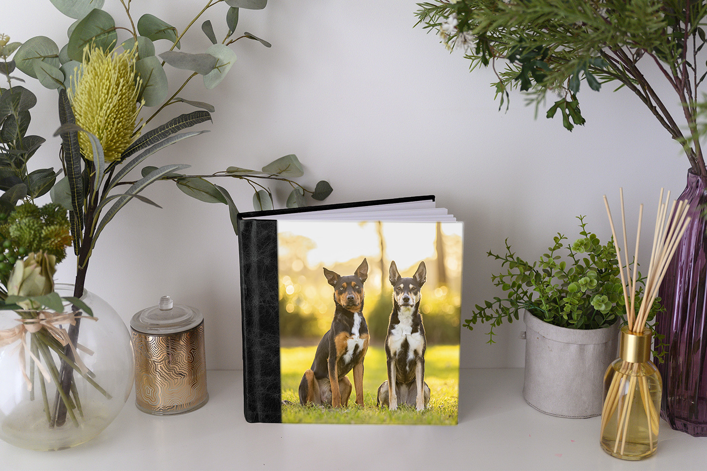 Janina, Ruby and Alfie's photo session at Macquarie Park