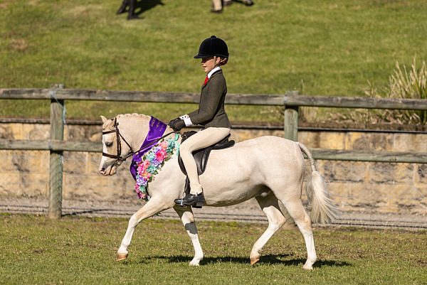 GEC Winter Woolies Hack Show 2025