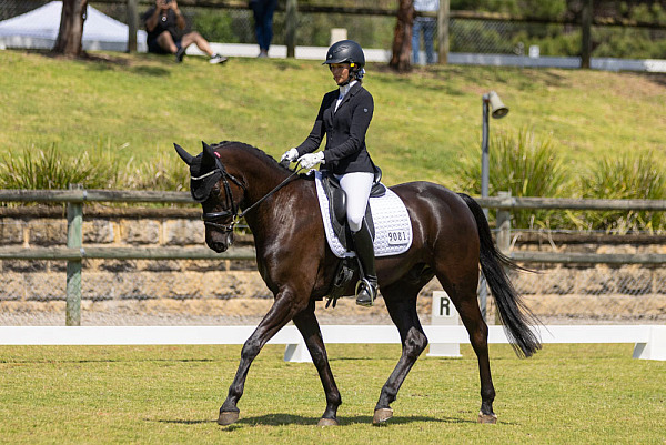GEC Dressage Day September 2025