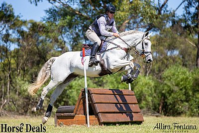 Wallaby Hill Equestrian Extravaganza 2019