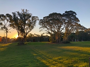 Castle Hill Heritage Park.jpg