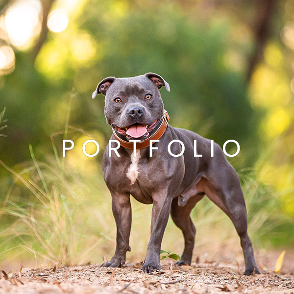 Allira Fontana Photography portfolio