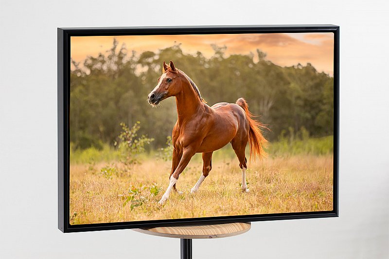 Frame canvas 1.jpg