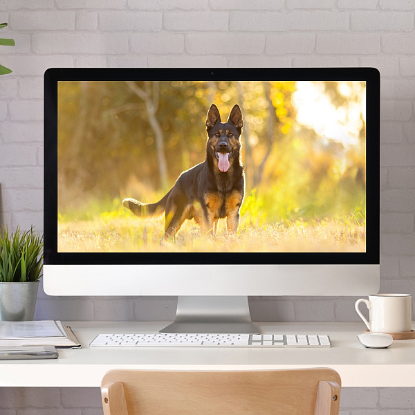 Untitled (210 x 210 mm) (1).jpg