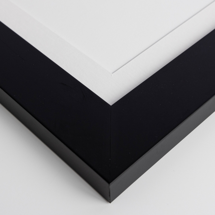 Untitled design (6).jpg