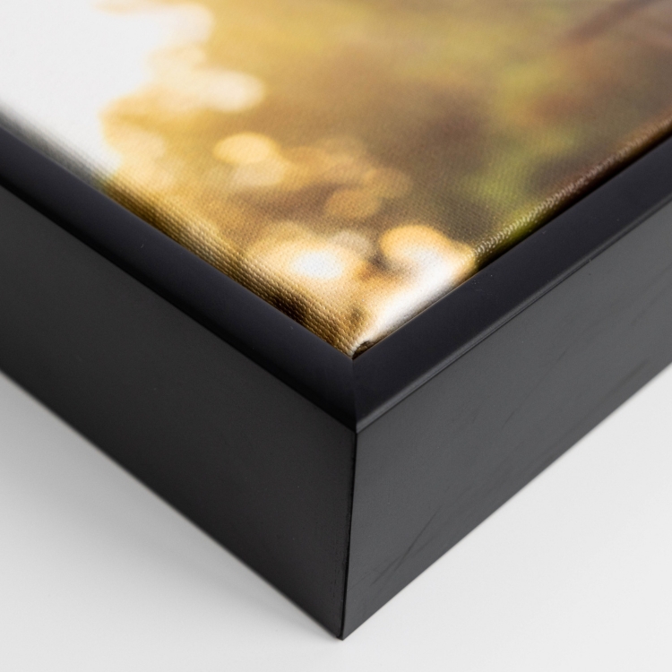 Untitled design (9).jpg