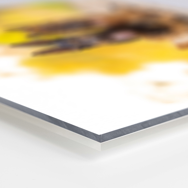 Untitled design (7).jpg