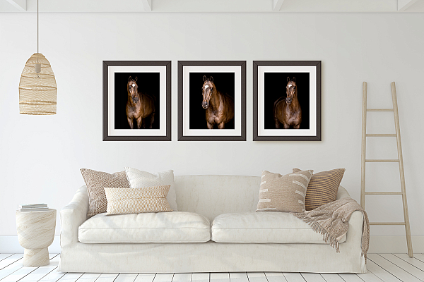 3 Black Background Wall art.jpg