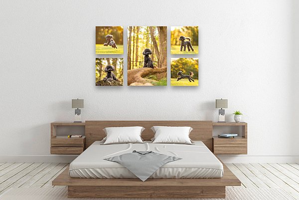 Grouping 3 landscape.jpg