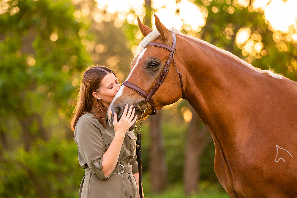sydney-equine-photographer-arabian-warmblood.jpg