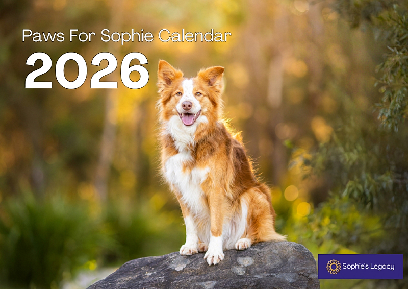 2026 Wall Calendar.jpg