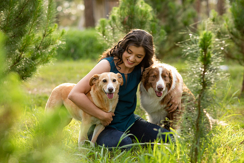 Christmas Tree mini sessions-5498-23.jpg